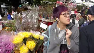 2017-Jan-24 #香港中國農曆新年 Hong Kong Chinese New Year Pre-Walk 2017 #旺角花墟 Mong Kok Flower & Flea Market