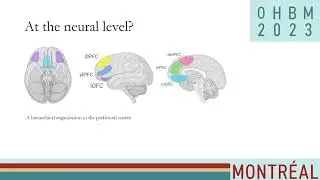 OHBM 2023 | 3102 | Talk | Gargi Majumdar | Aging Disrupts Prefrontal Code for Emotions&hellip;