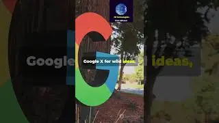 Alphabet Inc : The Powerhouse Behind the Google!