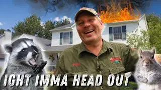 PREVENTING WILDLIFE ISSUES | What's the worst that could happen? 😳