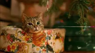 Amy Grant - Rockin' Around The Christmas Tree