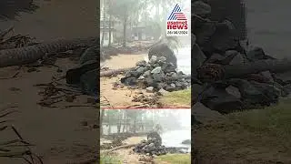 'എല്ലാ ദിവസവും രാവിലെ വന്ന് നോക്കും, വീട് അവിടെയുണ്ടോ എന്ന്'