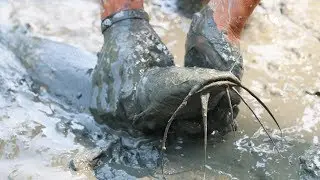 Boy Catching Catfish in Muddy Water | Best Hand Fishing video