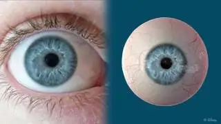 Lightweight Eye Capture Using a Parametric Model