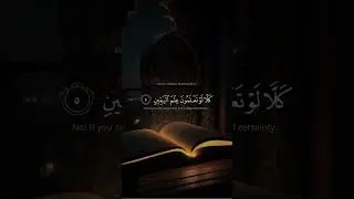 Surah At-Tukasur#quran #islamicshorts #status#qiyamat#finalquestion#cupidity#outcomesofgreed