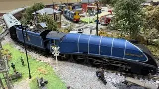 A4 Golden Eagle DCC with sound.