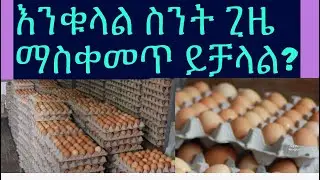 እንቁላል ሳይበላሽ ለማስቀመጥ