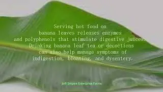 7 must know Health Benefits of Banana Leaf #homestead #banana