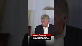 Жаль, что Telegram не выполняет законы России, - Песков