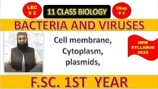 Cell membrane, Cytoplasm, plasmids| BACTERIA AND VIRUSES | Chapter 2| F.Sc. 1st Year Biology | L#2