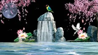 BLACK SCREEN BACKGROUND VIDEO ll Animation Water  ll Background Video