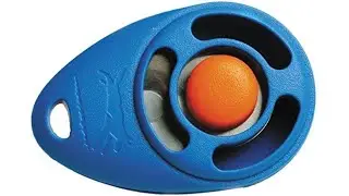 How to make a clicker for birds and pets training||DIY toy for kids at home for free||birds training