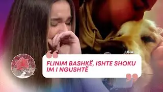 Shpërthen në lot për humbjen e qenit, Luna: Flinim bashkë, ishte shoku im i ngushtë