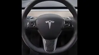 TAPTES Steering Wheel Accent Decals for Tesla Model 3