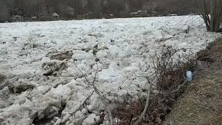 ICE JAM East Brady PA 2-20-26 #allegheny #river