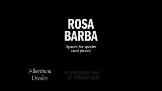 Rosa Barba im Albertinum in Dresden