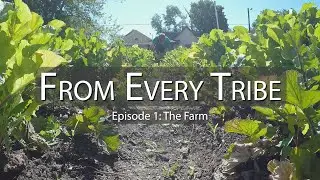 From Every Tribe, Ep.1: The Farm