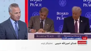 حبیبی:  نهاد صلحِ ترامپ نمی‌تواند جایگزین سازمان ملل شود