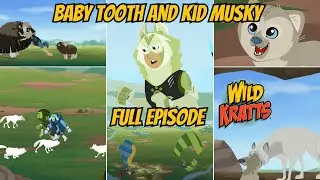 Wild Kratts S04E24 - Baby Tooth and Kid Musky (Full Episode)