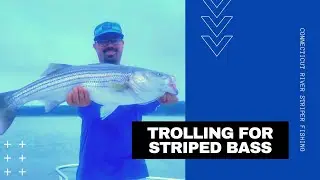 TROLLING for GIANT STRIPERS in the CONNECTICUT RIVER