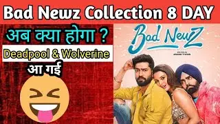 Bad Newz Box Office Collection Day 8 | Bad Newz Worldwide Collection | Vicky Kaushal