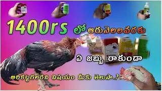 1400rs ఆరునెలల వరకు ఏ జబ్బురాకుండా అరికట్టగలరని విషయం తెలుసా..? || 1400rs you can control diseases