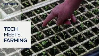 Smart farming reshapes life for disabled farmer in China
