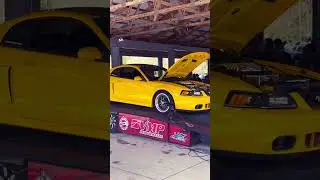 Yellow Cobra Makes 810HP on VMP DYNO #cobra #dynotuning #modmotor #boosted #mustang