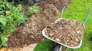 No dig garden bed preparation with cardboard