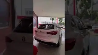 MG HS show