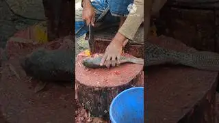 Satisfying Fish Cutting Skills 🔪🐟#FishCutting#FishCuttingSkills#SatisfyingVideos#ASMR#shorts