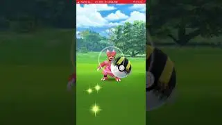 CATCHING A SHINY MAGMARS IN 1 DAY