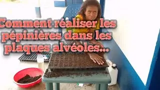Comment réaliser les pépinières dans les plaques alvéoles...