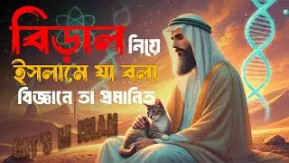 Cats in Islamic History Reveal Astounding Scientific Truths
