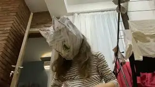 @Sharkystarzzz  Rate my paper  fursuit with wagging tail if you want