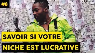Comment Savoir Si Votre Niche Est Lucrative? - #8