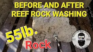 Before and After Cleaning 55lb Gaint Reef Rock