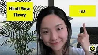 Where are we now in Elliott Wave  TSLA