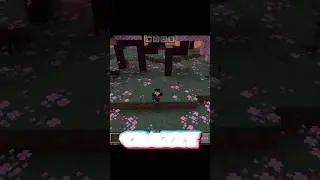 Minecraft Unknown Crazzy FACTS!