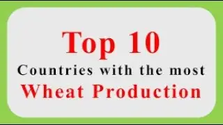 world's top ten wheat producing countries| GANDUM | Historical knowledge | HISTORY