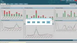 Rally Charts overview