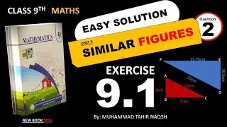 Class 9 Math Unit 9 Similar Figures | Exercise 9.1 Question 2 | New Syllabus 2025 (Punjab Boards),❤️