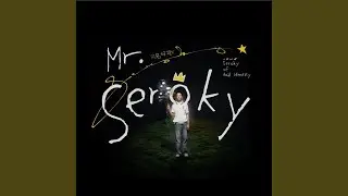 Mr Seroky Intro