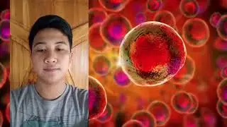 Gene Therapy And Transheart from Animal to Human( Science Technology Society)