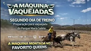 2&ordm; DIA DE TREINO PARA VAQUEJADA DO PARQUE MARIA SALETE - A M&Aacute;QUINA X FAVORITO QUEENS CAVALO DE BOI