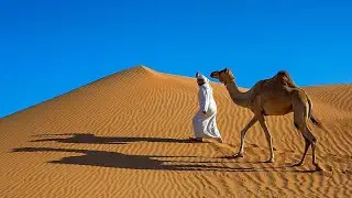 How to find more than sand dunes and camels in Saudi Arabia