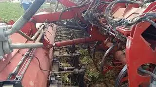 Holmer machine 12 row sugar beet harvesting in egypt حصاد البنجر الهولمر في مصر 12 خط