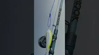 Изучите Bimini Twist за Считанные Минуты 🐠