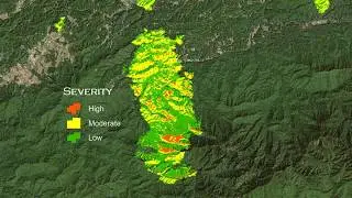 How Mixed-Severity Wildfire Benefits Wildlife