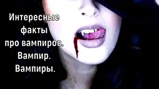 Interesting facts about vampires. Vampire. Vampires.